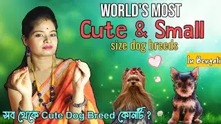 World's Most Popular Cute & Small Dog Breeds in Bengali । Small Size Apartment Dog । Toy Breed Dog ।
