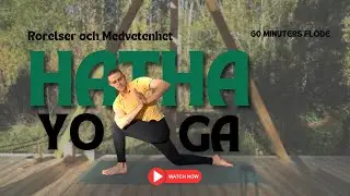 Hatha Yoga f&ouml;r Avslappning och Balans