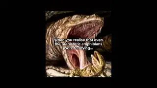 Ancient Amphibians were actually terrifying&hellip; #prehistoric #amphibian #extinct