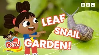 🔴LIVE: Learn Outdoors with Dee | Nature, Weather, Bugs and more! | Yakka Dee!
