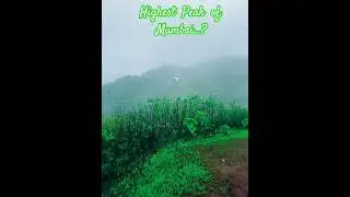 Highest peak of mumbai. #shorts #nature #hills #travel #mumbai #thane #animals #india