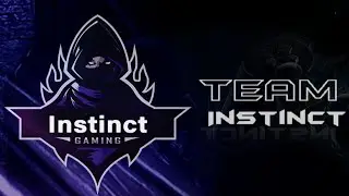 Team Instinct - Fortnite HN