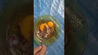 Masak sayur bening dan omelet😉