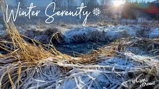 Frosty Creek in Early Winter &ndash; Relaxing Nature Scenery