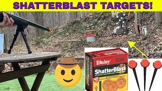 SHOOTING  DAISY SHATTERBLAST TARGETS