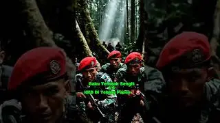 Baku Tembak Sengit VS KKB Di Tebing Papua‼️🚨 #feedshorts #tni #viralshorts
