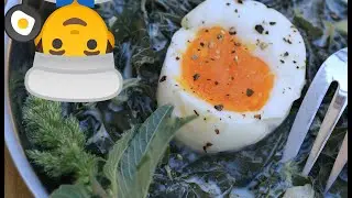 Bushcraft Survival: Wildspinat sammeln und zubereiten. Leckeres aus Unkraut.