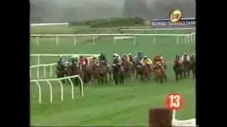 Florida Pearl - Weatherbys Champion Bumper Cheltenham 1997