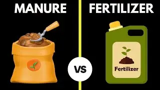 Difference Between Manure and Fertilizer