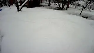 Hühner im Schnee - Livestream - chicken in the snow