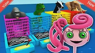 Choose Correct Key Opens The Cage Animal Cartoon Animal Game Videos