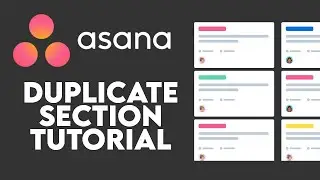 How To Duplicate a Section in Asana 2024