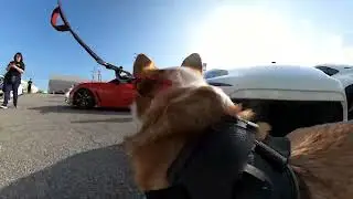 GoPro on a Corgi: Toyota Gazoo Racing Chronicles at AeroWerkz Motorsports