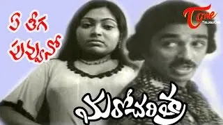 Ye Theega Poovuno(Sad) Song - Maro Charithra Movie Songs - Kamal Haasan & Saritha