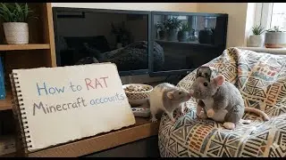 Rat Autosecure DonutSmp Hypixel Minecraft