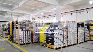 Ein Blick hinter die Kulissen TipTopCarbon & TeckWrap &ndash; Wo Qualit&auml;t vorr&auml;tig ist!