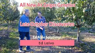A Late October Visit To The Orchard Proves Rewarding On  All New At Zaiger Genetics