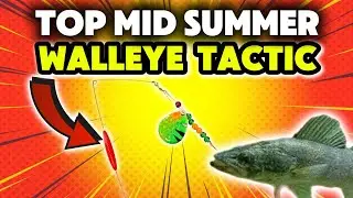 Mastering Mid Summer Walleye Tactics with Bottom Bouncers