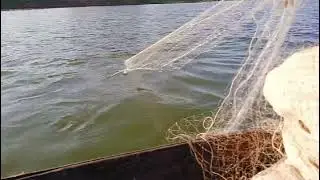 Bade Dinon bad fansi hai aaj Bam machhali