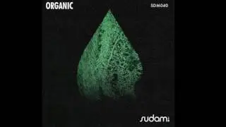 CLAUDIO RICCI | Antares (original mix) | SUDAM RECORDINGS