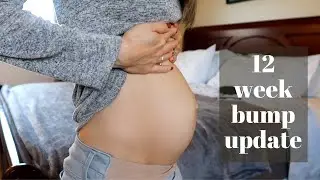 12 week pregnancy update