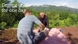 Georgian village tea-making // Renegade tea growing vlog