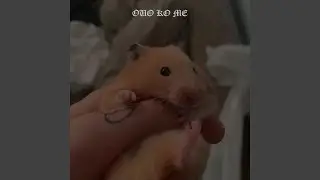 ouo ko me (Demo)