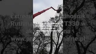 Extreme Work: podnośnik Ruthmann T330 podczas pracy przy wycince drzew!  tel. 607 606 036
