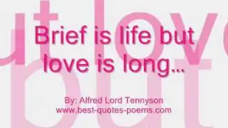Famous Valentine Day Quotes & Sayings