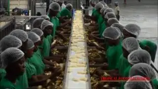 TFM - Low acid banana pure processing line