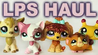 Littlest Pet Shop Haul Review ! Sparkle cat 2291 & many other pets! | Alice LPS