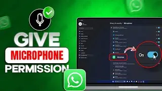 How to Give Microphone Permissions to WhatsApp on PC | Enable Microphone Access