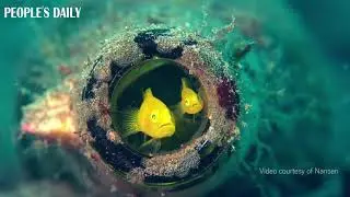 #WorldOceansDay
