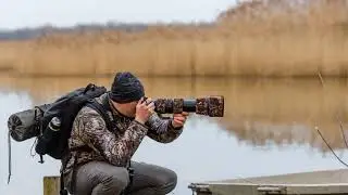 Edward Jendrzejczak Fotografia Dzikiej Natury ( Wildlife Photography).
