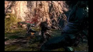 How To Win The Largest Fear Of Iris In WITCHER 3 WILD HUNT