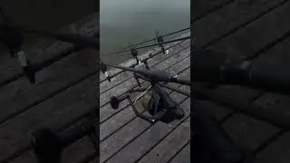 карпфишинг с комфортом #карпфишинг #catchandrelease #carpfishingismylife #bigcarp #рыбалка