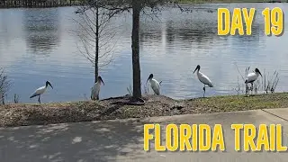 2025 Florida Trail - Day 19