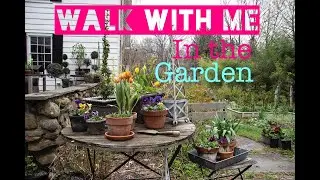 Hard work, pays off in the garden