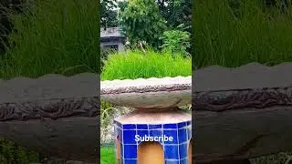 Peer ajmal raza qadri|#islamicshorts #bayan#naturelovers