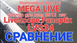 MEGA LIVE APEX16  Penoptix LiveScope LVS34 СРАВНЕНИЕ