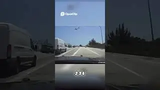 Woman Steals Test Drive Car!!!                    #florida #cops #police #crime #viralvideo #shorts