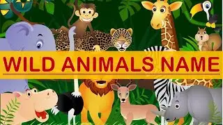 Learn Wild Animal Name in English with spelling | Wild Animals with picture with revision