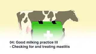 04: Good milking practice III - Checking for and treating mastitis
