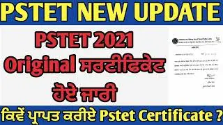 PSTET New Update|| PSTET Certificate 2022 || PSTET New Notification || PSTET 2023 || PSTET Exam Date