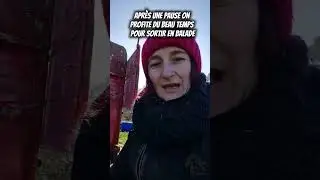Travail du poulain van et sortie en main