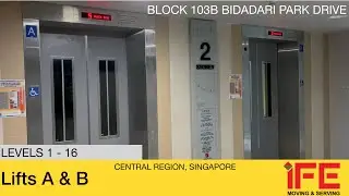 HDB Block 103B Bidadari || IFE Elevator (Lifts A & B)