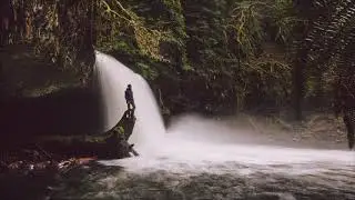 Menual ~ Discovery [Future Ambient]
