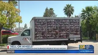PETA launches a 