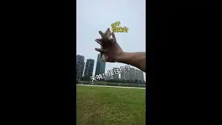 I Caught You! Sugar Glider And Flying Squirrel #Cute Pets' Funny Behaviors #Rotating Throw Hand.