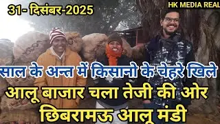 31-12-2025- आलू बाजार में हुआ और सुधार बाजार तेजी की ओर, आमदनी आज भी कम ,छिबरामऊ आलू मंडी